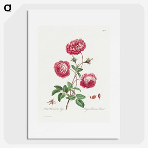 1-4_John-Edwards_picture