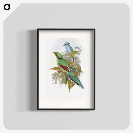1-4_John-Gould_blk