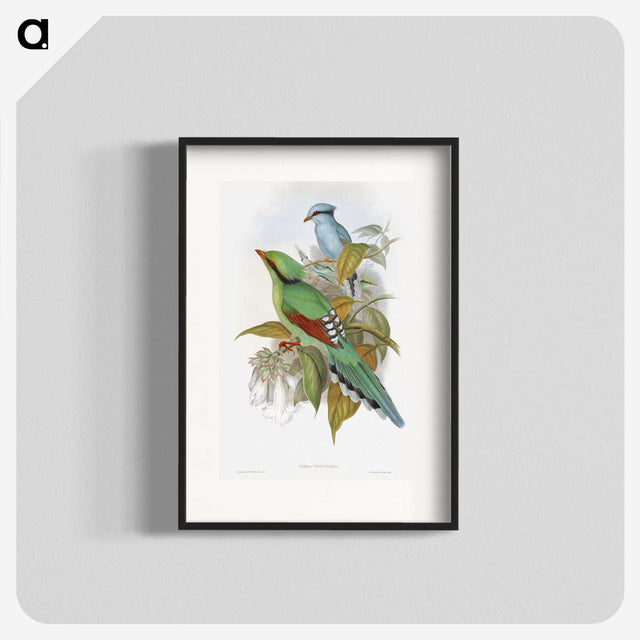 1-4_John-Gould_blk