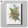 1-4_John-Gould_canvas