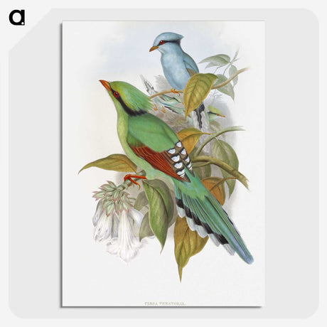 1-4_John-Gould_picture-crop