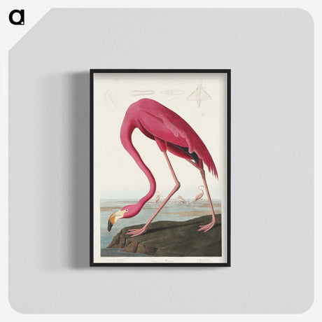 1-4_John-James-Audubon_blk-crop