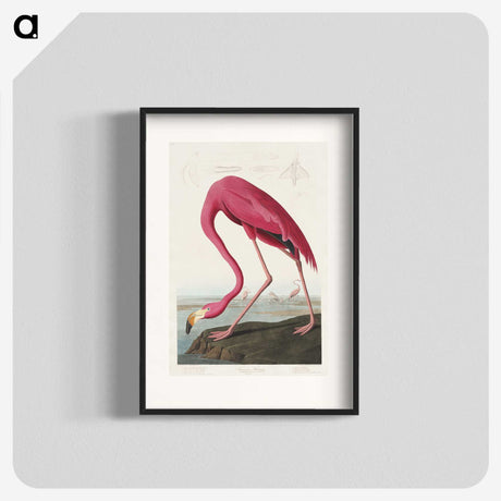 1-4_John-James-Audubon_blk
