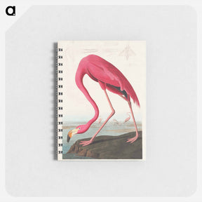アートメモ帳-Pink Flamingo
 - ジョン ジェームス オーデュボン Memo.