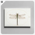 1-4_Joris-Hoefnagel_canvas