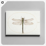 1-4_Joris-Hoefnagel_canvas