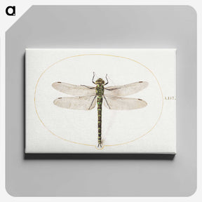 1-4_Joris-Hoefnagel_canvas