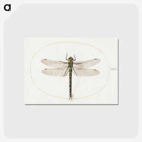 1-4_Joris-Hoefnagel_postcard