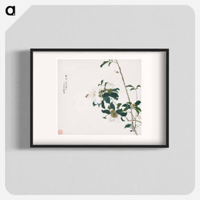 アートポスター-Insects and Flowers
 - ジュ リアン Poster.