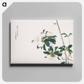 アートパネル-Insects and Flowers
 - ジュ リアン Canvas.