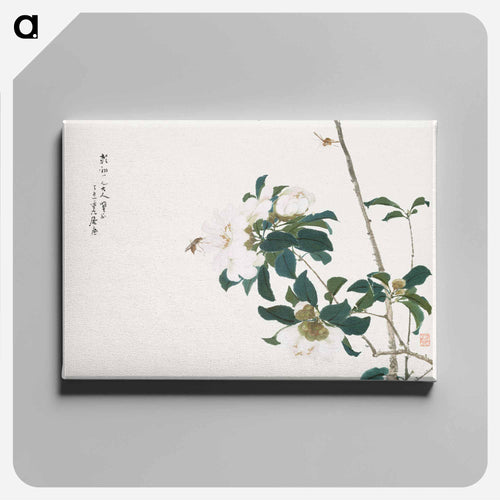 Insects and Flowers
 - ジュ リアン Canvas.