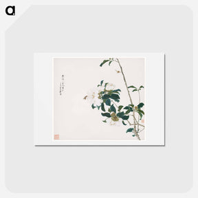 アートポストカード-Insects and Flowers
 - ジュ リアン Postcard.