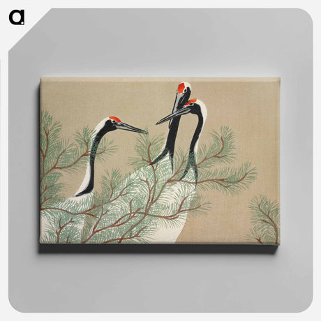 アートパネル-Cranes from Momoyogusa–Flowers of a Hundred Generations - 神坂 雪佳 Canvas.