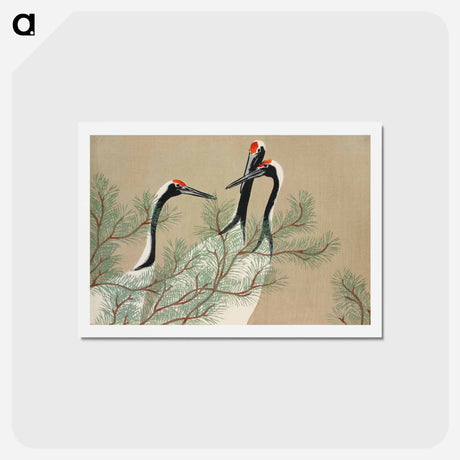 アートポストカード-Cranes from Momoyogusa–Flowers of a Hundred Generations - 神坂 雪佳 Postcard.