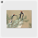 アートポストカード-Cranes from Momoyogusa–Flowers of a Hundred Generations - 神坂 雪佳 Postcard.