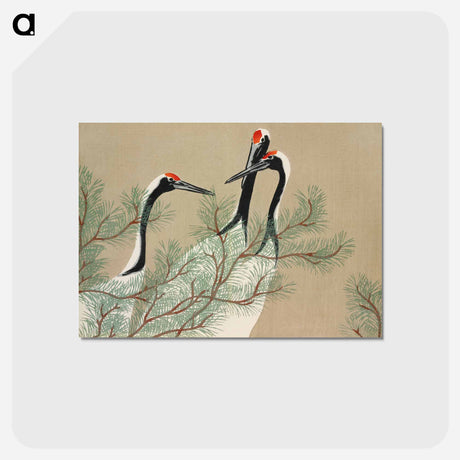 アートポストカード-Cranes from Momoyogusa–Flowers of a Hundred Generations - 神坂 雪佳 Postcard.