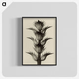 1-4_Karl-Blossfeldt_blk-crop