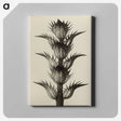 1-4_Karl-Blossfeldt_canvas