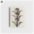 1-4_Karl-Blossfeldt_memo