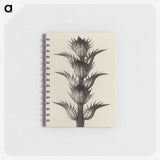 1-4_Karl-Blossfeldt_memo