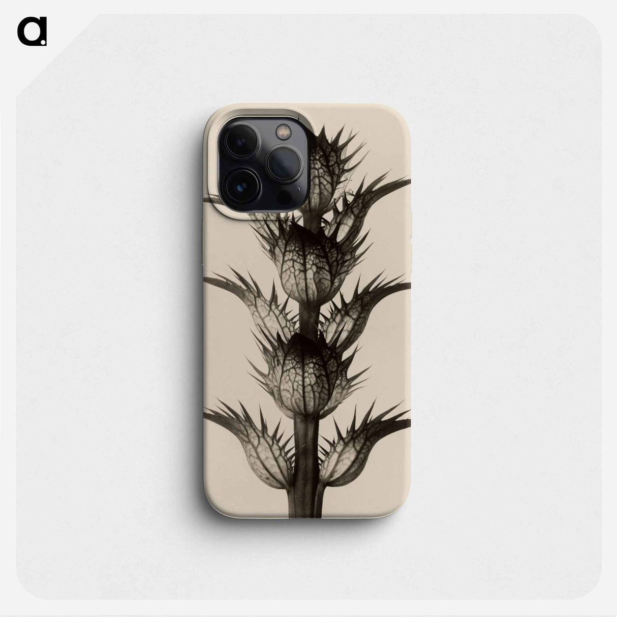 Acanthus mollis - Karl Blossfeldt Phone Case.