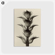 1-4_Karl-Blossfeldt_postcard