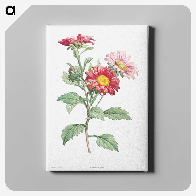 1-4_La-Botanique_canvas