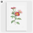 1-4_La-Botanique_picture