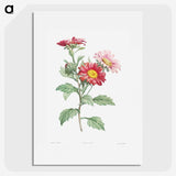 1-4_La-Botanique_picture