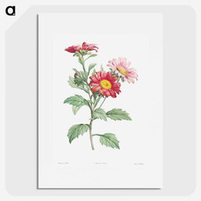 1-4_La-Botanique_picture