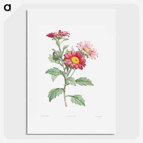 1-4_La-Botanique_picture