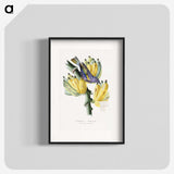 1-4_Le-Jardin-des-Plantes_blk
