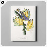 1-4_Le-Jardin-des-Plantes_canvas
