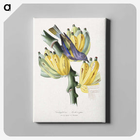1-4_Le-Jardin-des-Plantes_canvas