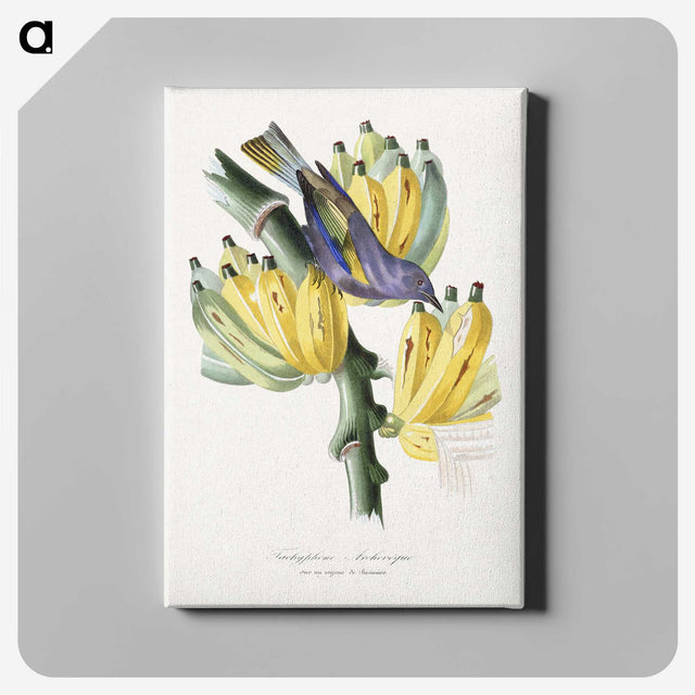 1-4_Le-Jardin-des-Plantes_canvas