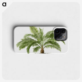 1-4_Les-Palmiers-Histoire-Iconographique_phone