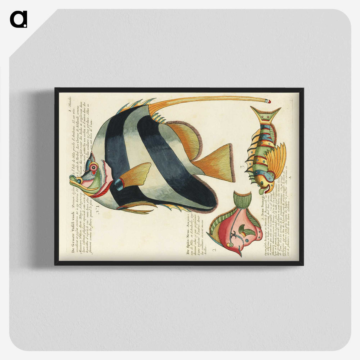 1-4_Louis-Renard_blk-crop