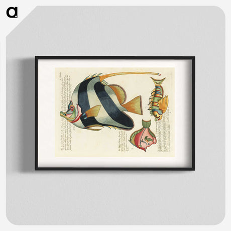 1-4_Louis-Renard_blk