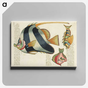 1-4_Louis-Renard_canvas