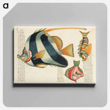 アートパネル-Moluccan Fishes
 - ルイ ルナール Canvas.