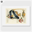 1-4_Louis-Renard_picture
