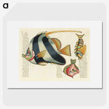 1-4_Louis-Renard_picture