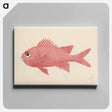 アートパネル-Unidentified Fish
 - ルイージ バルガーニ Canvas.