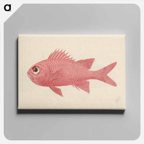 アートパネル-Unidentified Fish
 - ルイージ バルガーニ Canvas.
