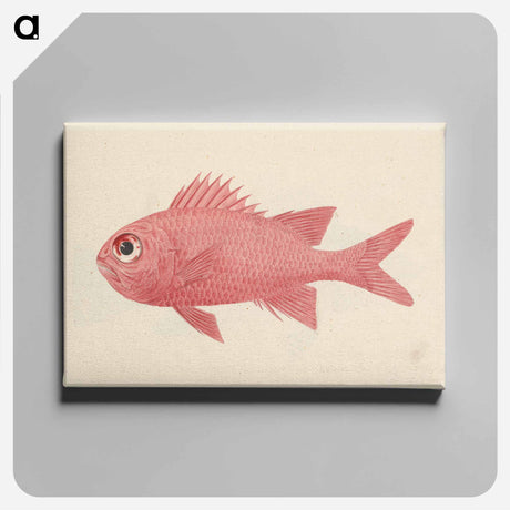 アートパネル-Unidentified Fish
 - ルイージ バルガーニ Canvas.