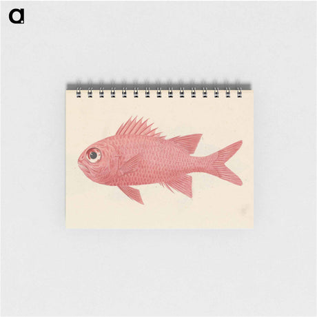 アートメモ帳-Unidentified Fish
 - ルイージ バルガーニ Memo.
