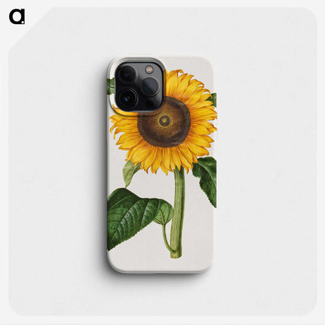 1-4_Maria-Sibylla-Merian_phone