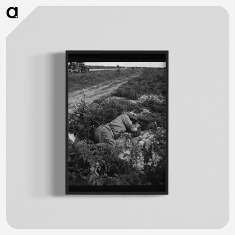 1-4_Marion-Post-Wolcott_blk-crop
