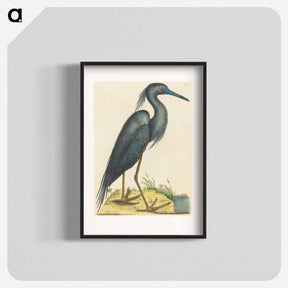 アートポスター-The Blue Heron
 - マーク ケイツビー Poster.