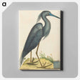 アートパネル-The Blue Heron
 - マーク ケイツビー Canvas.